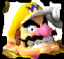 Wario Champion Select